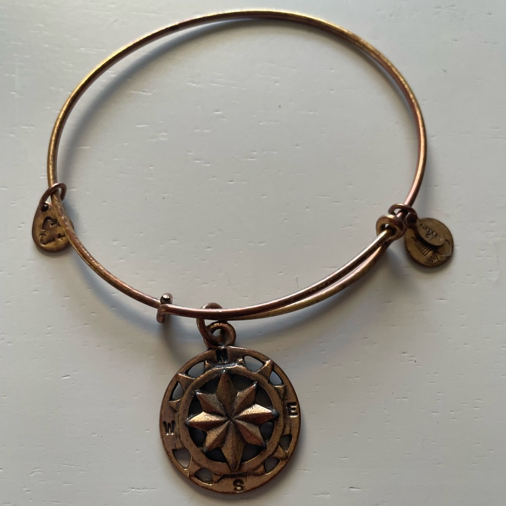 Alex and Ani Compass bangle